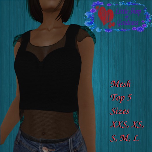 Black Mesh Top With STRAPPED Bralette - Mesh