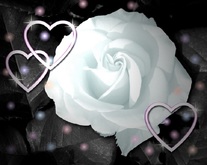 Rose and Hearts Picture