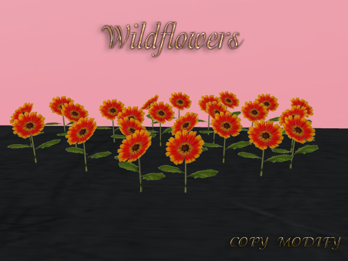 L&M Wildflowers