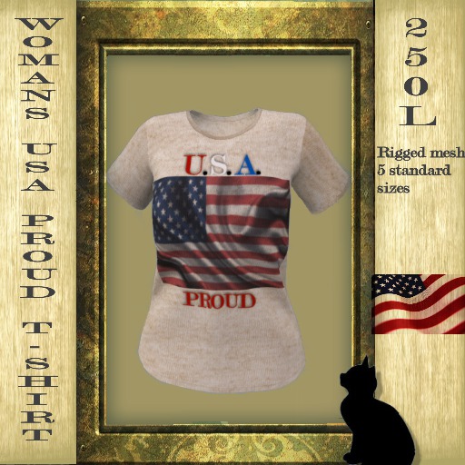 USA PROUD WOMEN'S MESH T-SHIRT (boxed)