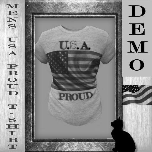 *DEMO*USA PROUD MENS MESH T-SHIRTS (boxed)