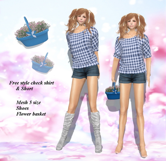 Free Style Check Shirts & Short Box