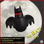 My Bat Pet