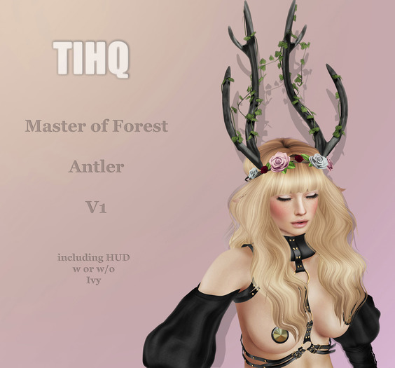 _*TihQ*_ MasterOfForest Antler v1 Box