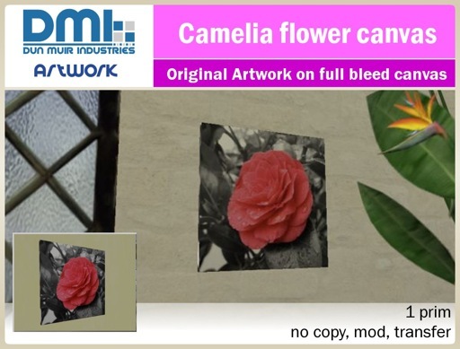Camelia Flower Canvas
