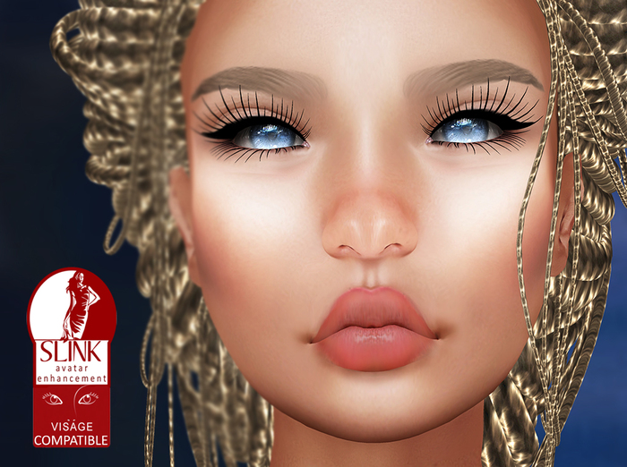 <BR> 2.0 M&B Skin (Slink Visage)