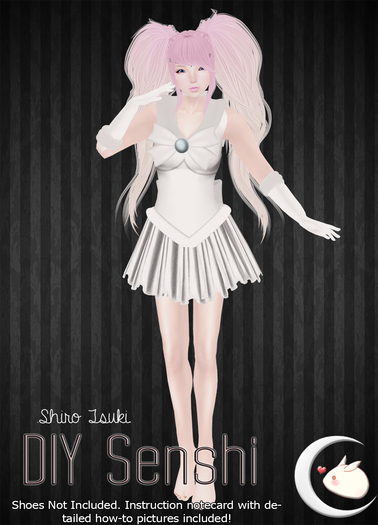 .ST. DIY Senshi