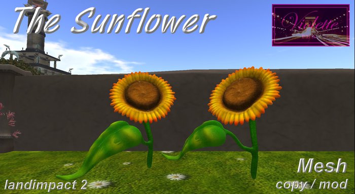 The Sunflower mesh E-BOX