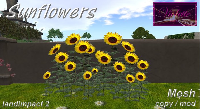 Sunflowers mesh E-BOX