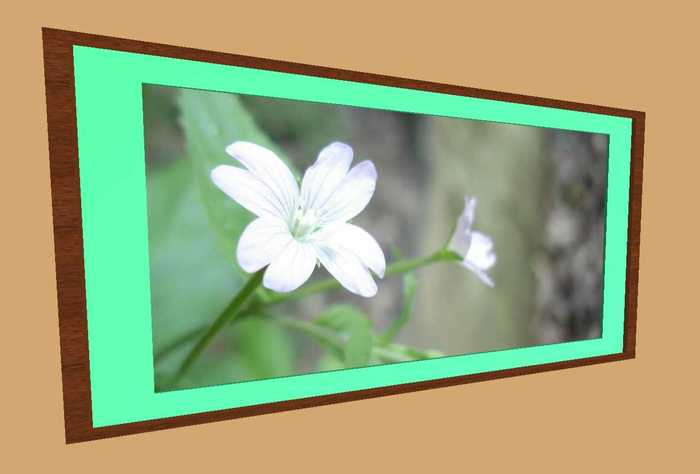 Picture Frame Wide