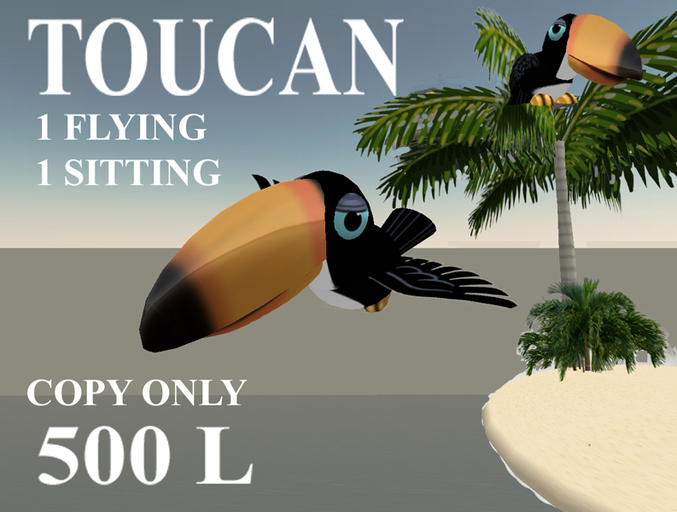 Flying and Sitting Toucans