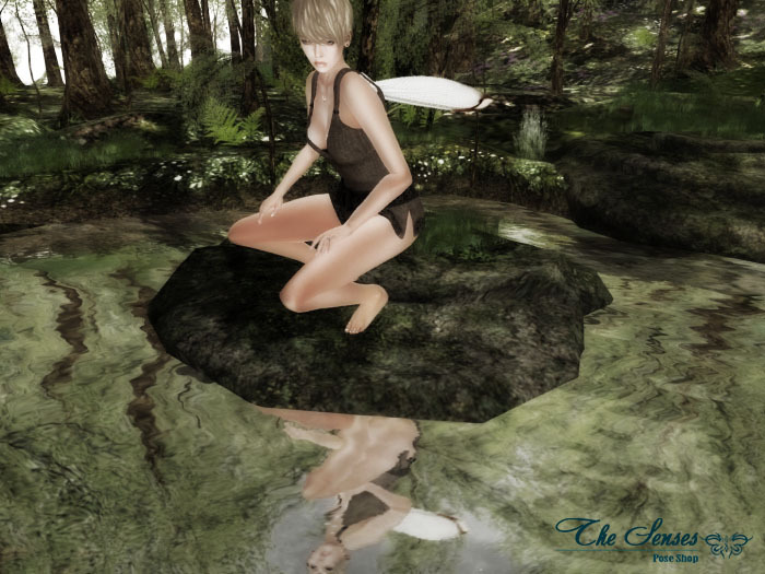 Box The Senses - Fay - Wings Included !