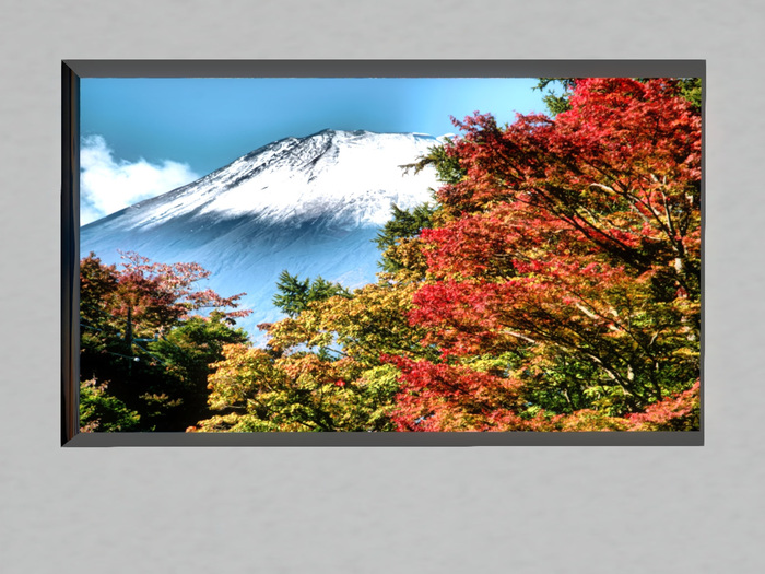 [PaO'z SHOP] FREE Picture Mt.FUJI 2016_2