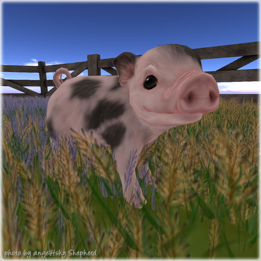 JIAN Barnyard Buddies :: Piglet Spot (Companion) (BOX)