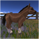 JIAN Barnyard Buddies :: Pony Brown (Companion) (BOX)