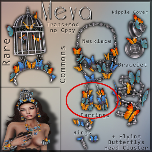 Meva Butterfly  Earring Box