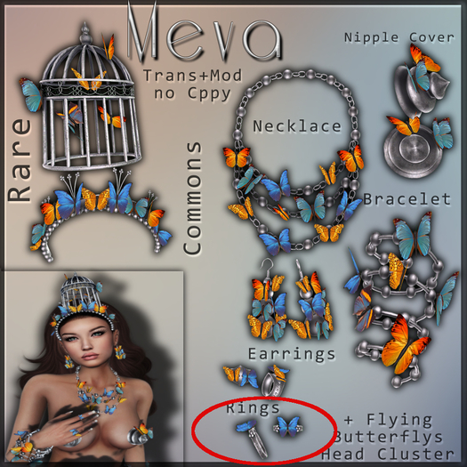 Meva Butterfly Ring 2  Box