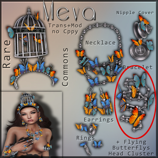 Meva Butterfly Bracelet  Box