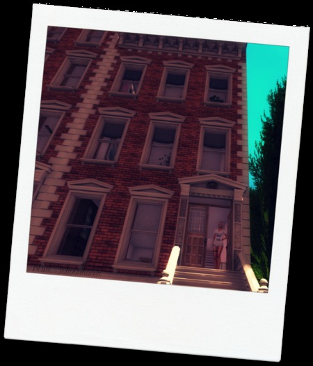 Social Haven Rentals