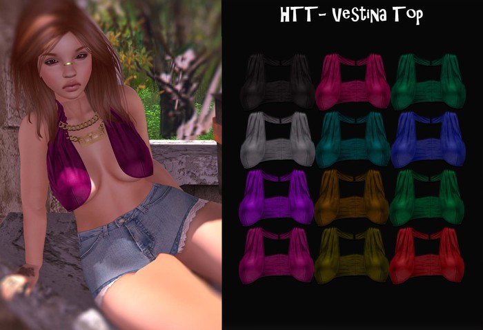HTT- Vestina Top W/HUD