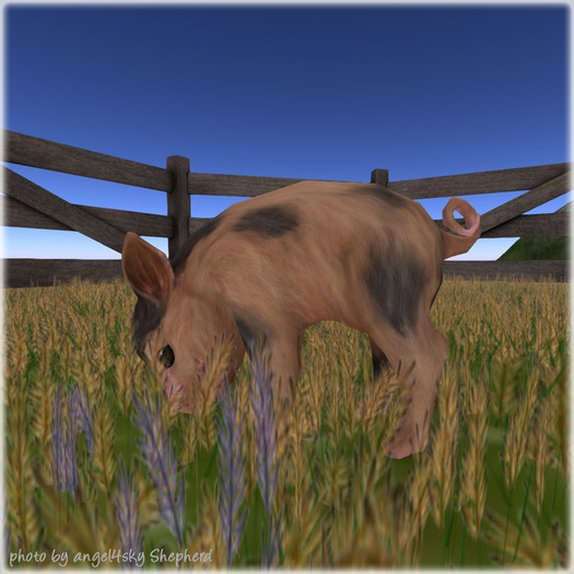 JIAN Barnyard Buddies :: Piglet Org Spot (Companion) (BOX)