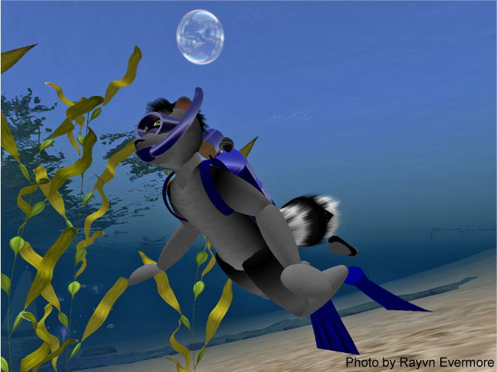 (7S) SuperUltraRare Fish: Gray Raccoon