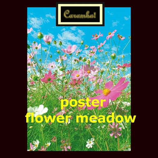 Poster flower meadow