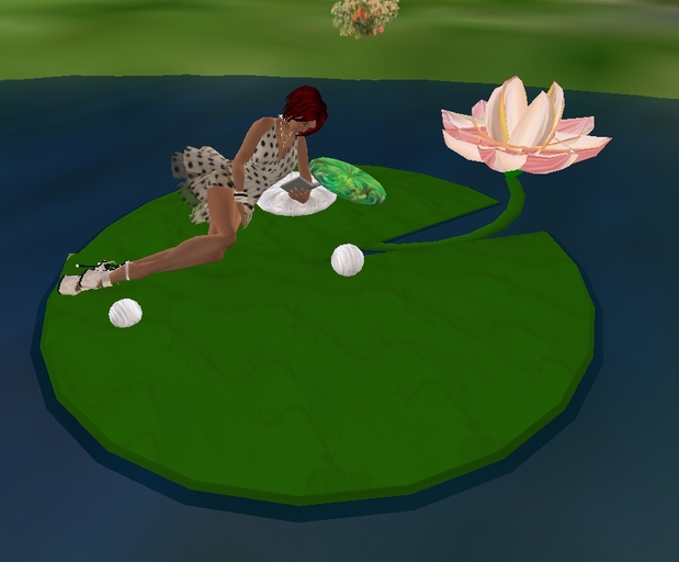 ::LC:: NENUPHAR ROSE BAIN DE SOLEIL / PINK LOTUS FLOWER FOR SUNBATH WITH BOOK