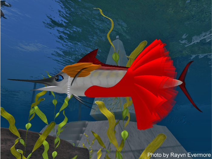(7S) SuperUltraRare Fish: Marlin Rouge