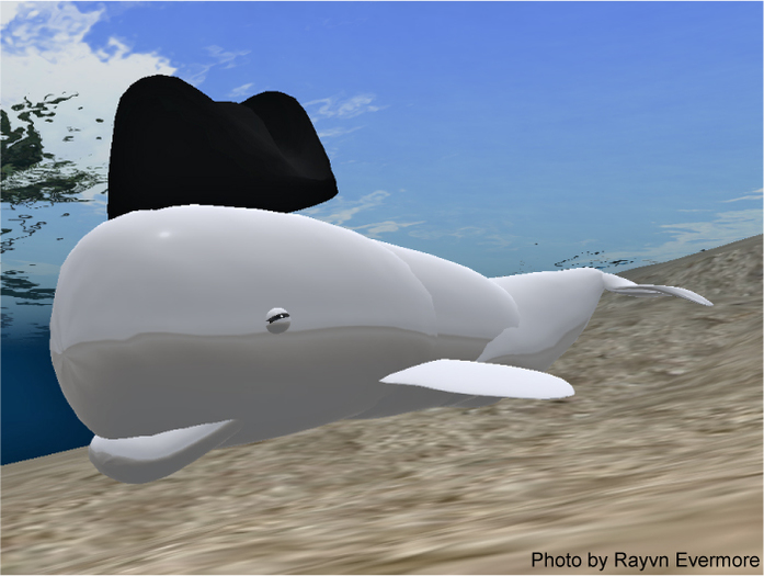 (7S) SuperUltraRare Fish: Moby Dick