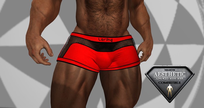 Mesh Sports Shorts Red