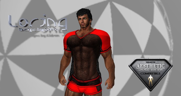 Mesh Sports V-Neck Shirt Red