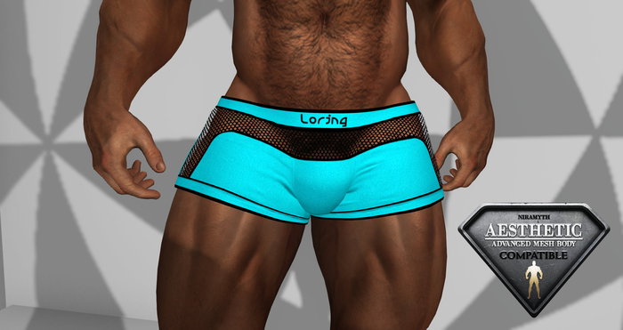 Mesh Sports ShortsBlue