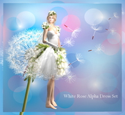 White Rose Alpha Dress Set Box
