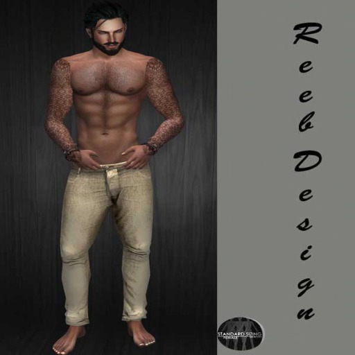 244-Reeb Design colys Brown Pants