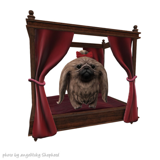 14. *HEXtraordinary* Princess Bed Pekingese - Cream - RARE