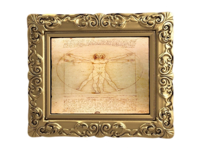 Da Vinci Vetruvian Man Wall Art