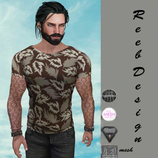 249-Reeb Design Hawai Tshirt