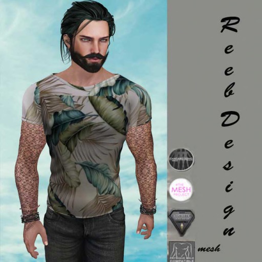 251-Reeb Design Hawai Tshirt