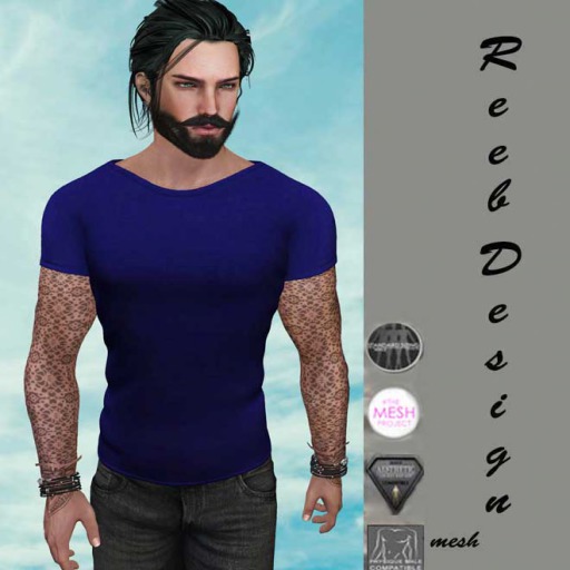 252-Reeb Design Hawai Tshirt