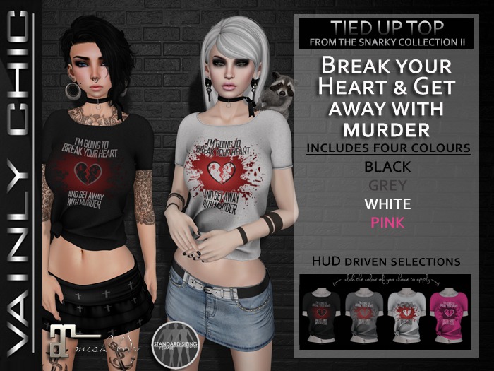 Vainly Chic - Break Your Heart