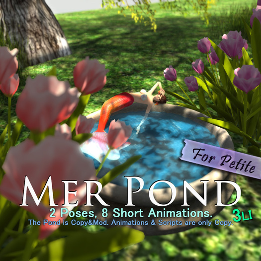 :KH: Mer Pond for petite