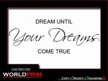 dream until your dreams come true