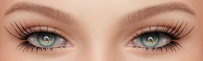 [M.B] EyeLashes Applier 01 / Catwa Mesh Head  BOXED