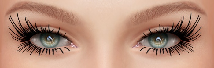[M.B] EyeLashes Applier 02 / Catwa Mesh Head  BOXED