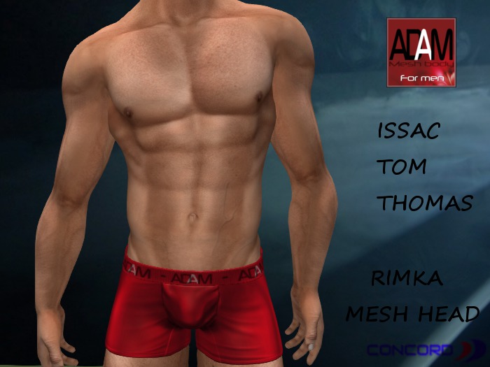 ::::CONCORD:::: Adam Mesh Body Applier HUD 8