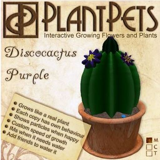 PlantPet Seed [Discocactus *Purple*]