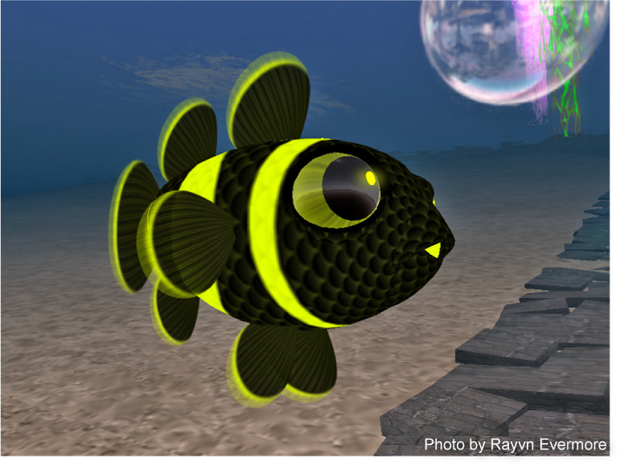 (7S) UltraRare Fish: Color Shift Clownfish