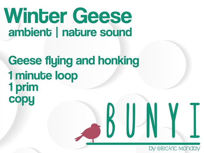 Aioku Nature Sounds- Winter Geese