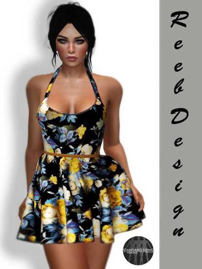 255-Reeb Design Lale Mesh spring dress